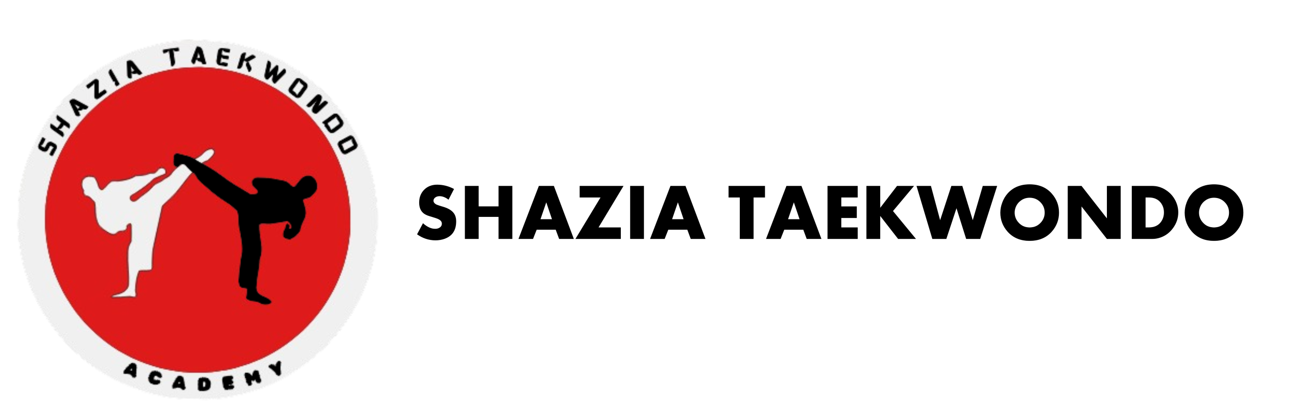 ICONS 3 scaled
