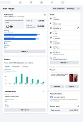 Facebook ad performance results dashboard screenshot