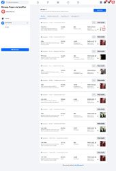 Facebook Ads Manager campaigns list overview screenshot